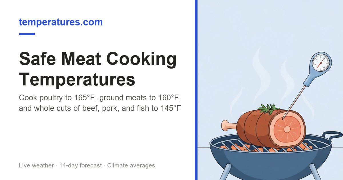 Safe Meat Cooking Temperatures Usda Chart For Every Meat 