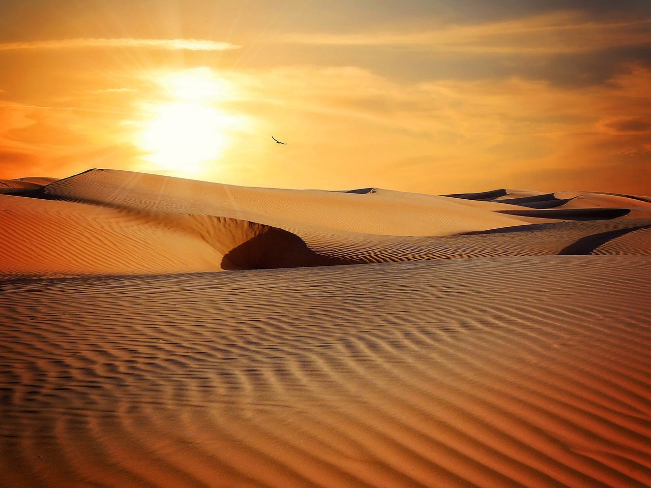 Discover Fascinating Facts About Deserts: A Comprehensive Guide