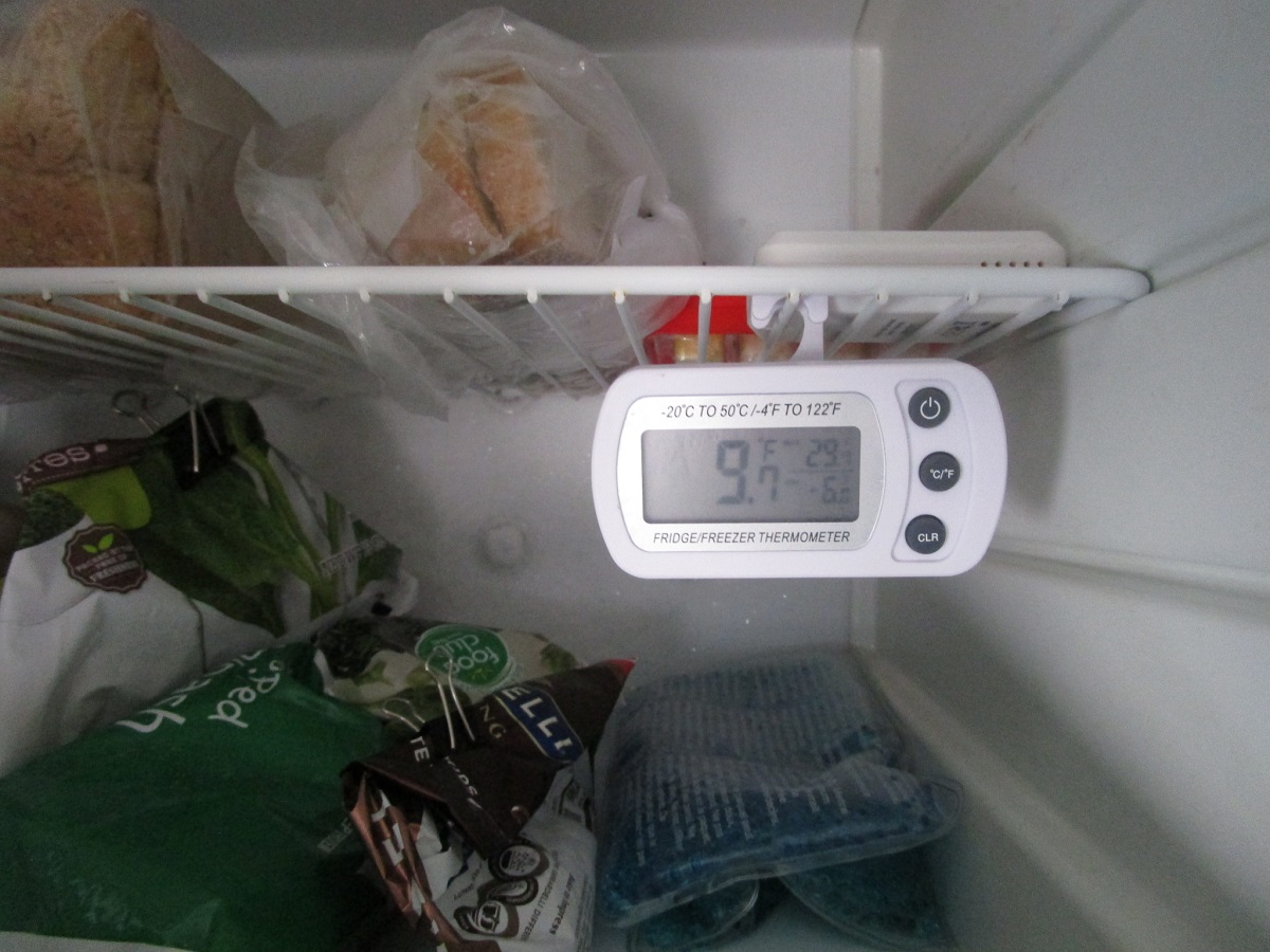 Do Refrigerator And Freezer Temperatures Kill Viruses?