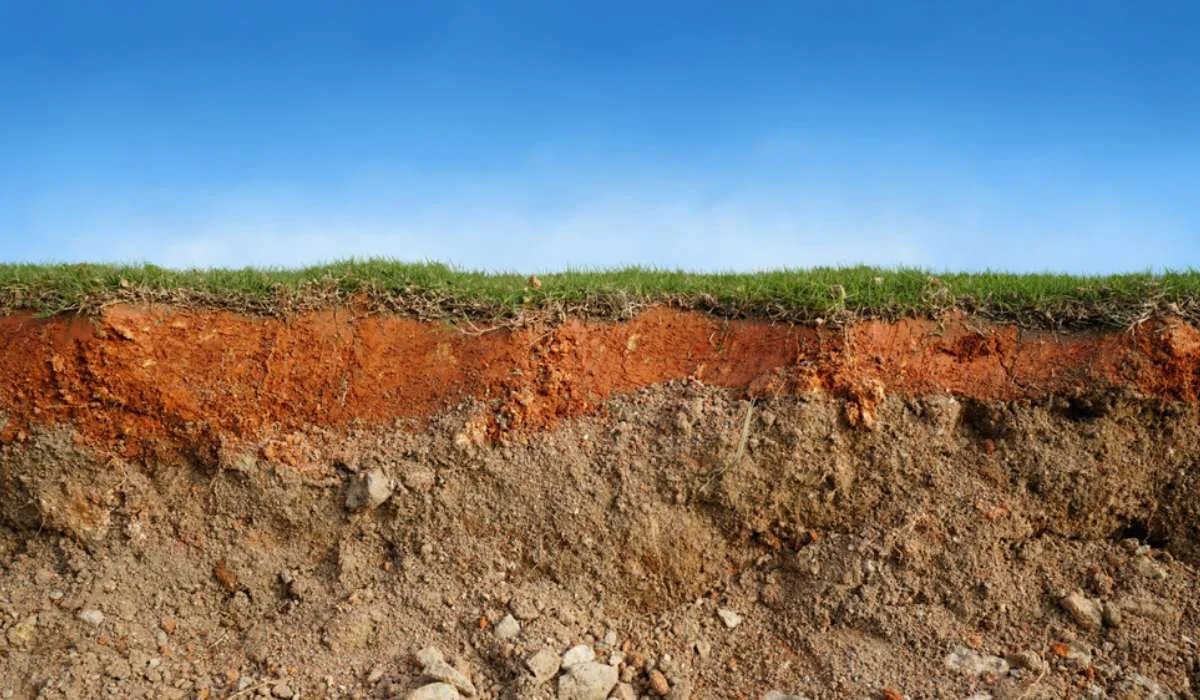 The Impact Of Climate On Soil Formation: Understanding The Relationship