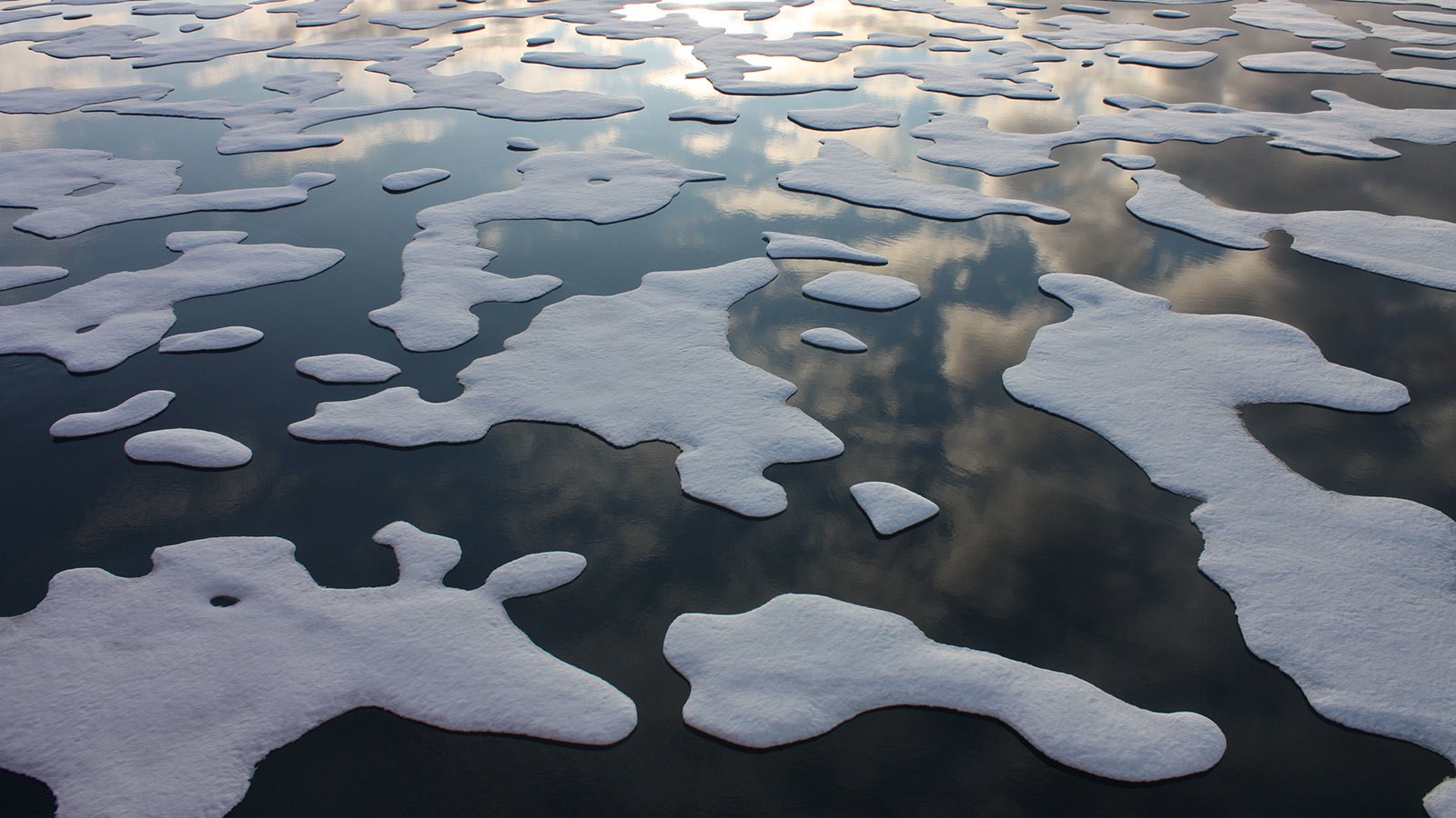 Unlikely Consequences Of Rising Arctic Temperatures