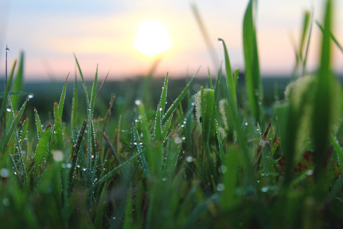 What Is Dew Point Temperature and Why It Matters