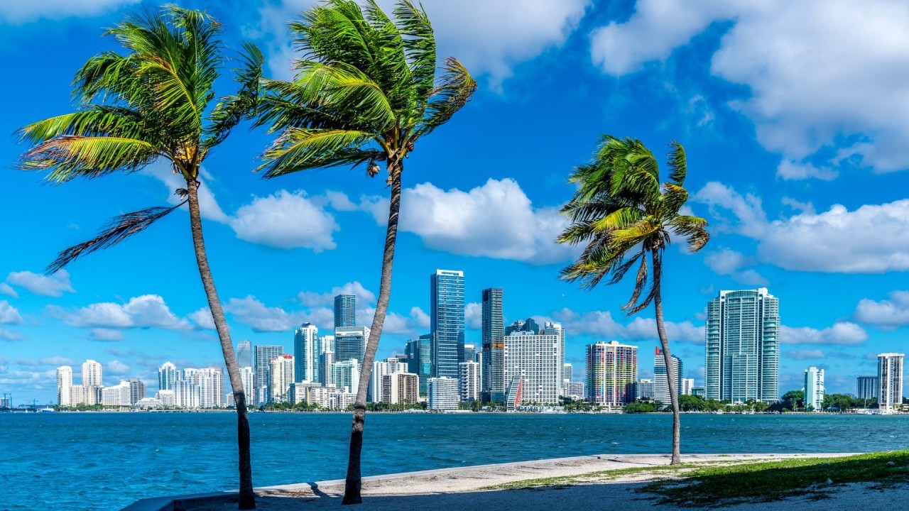 Miami December Climate Guide