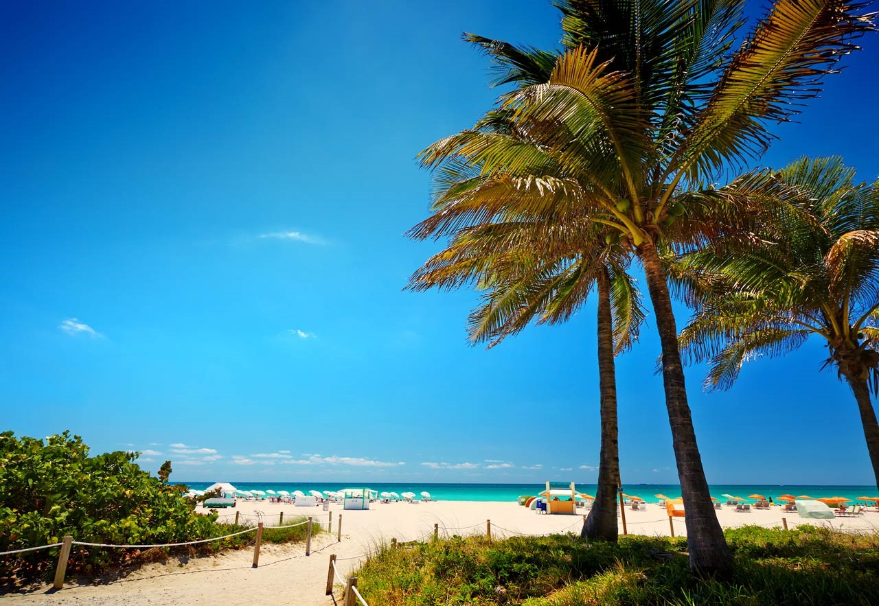 How Does Miami Weather in April Affect Your Plans?