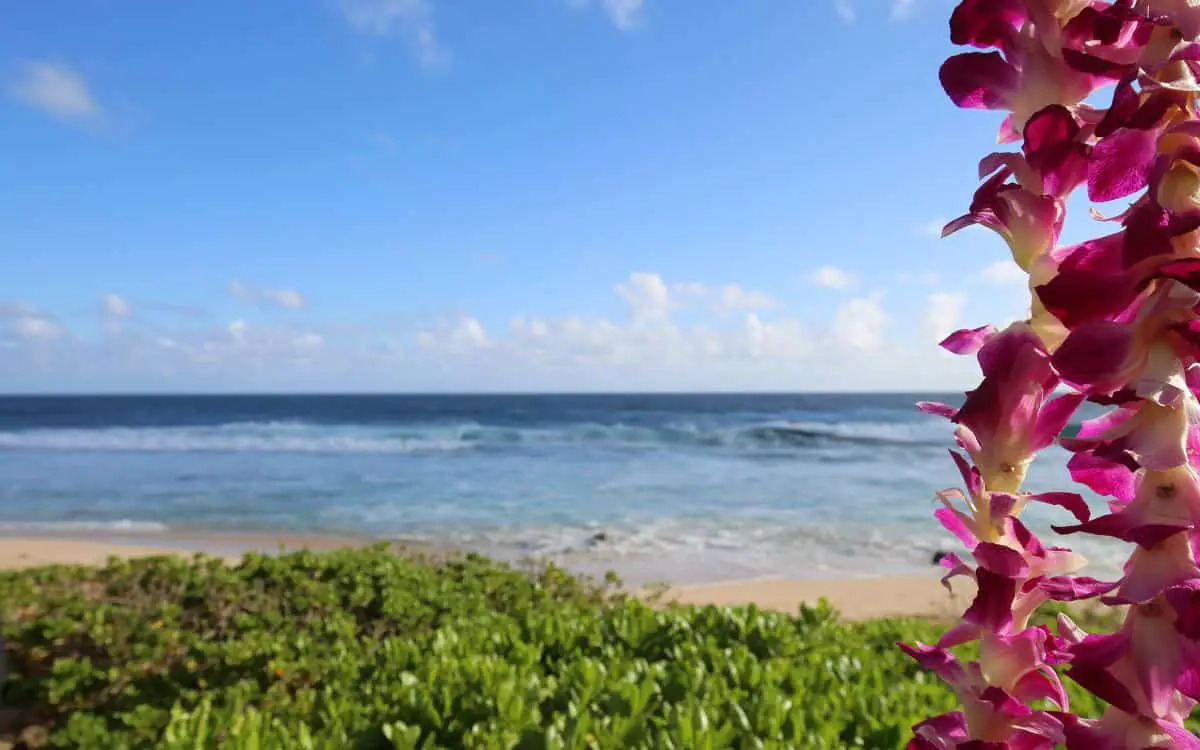 How Warm is Hawaii in March? Average Temperatures Explained