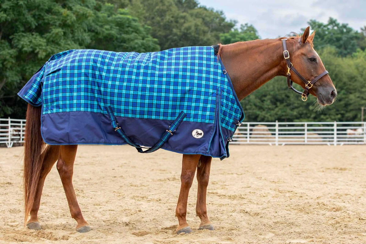 When to Blanket a Horse: Seasonal and Weather Guidelines