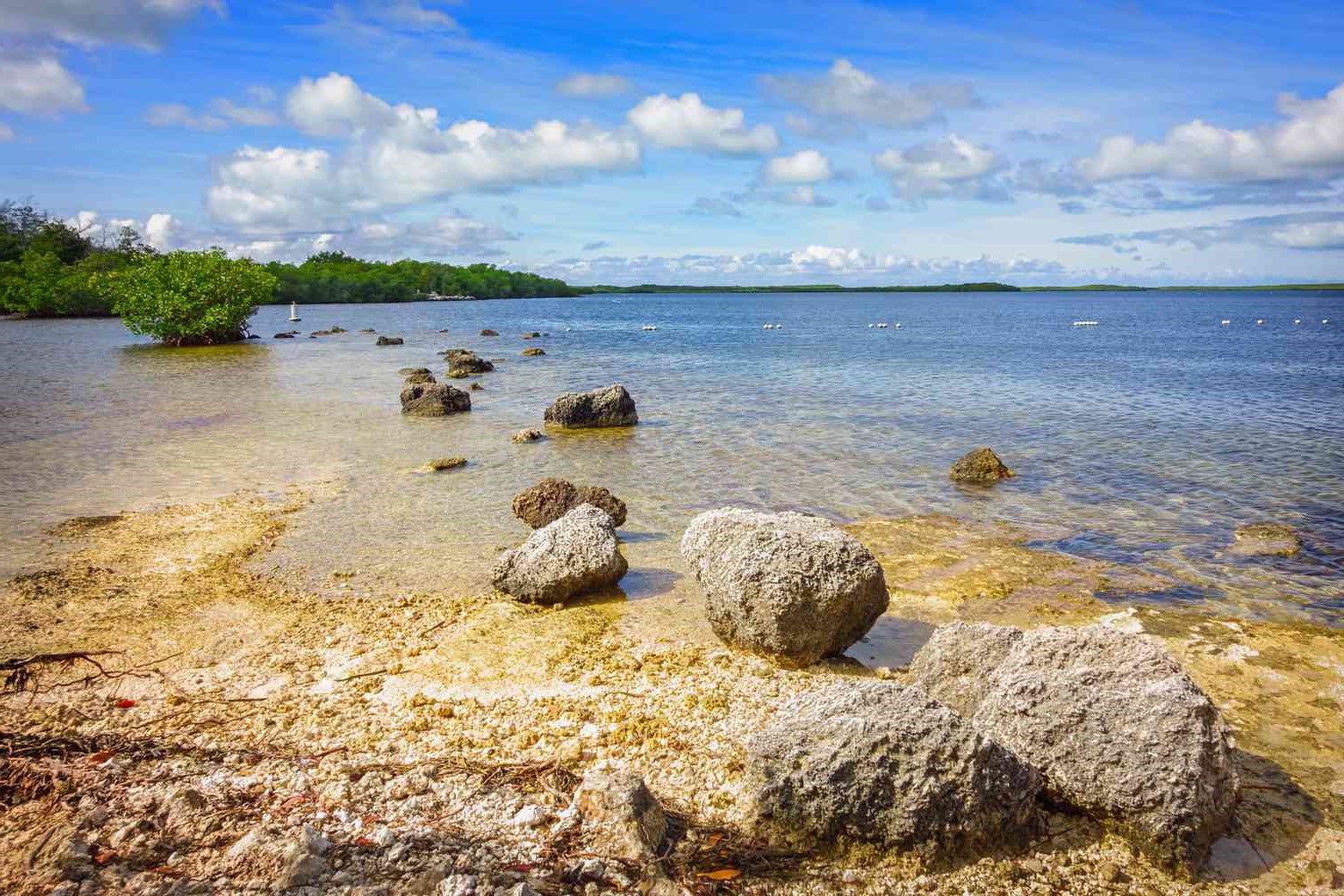 Key Largo Weather by Month: What to Expect Year-Round