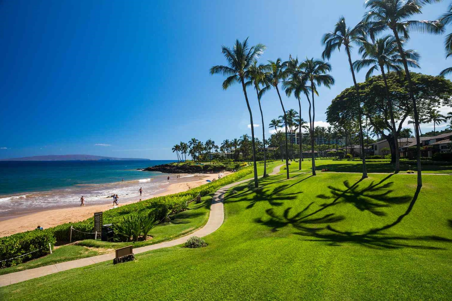 Maui in January: Weather, Temperatures, and Travel Tips