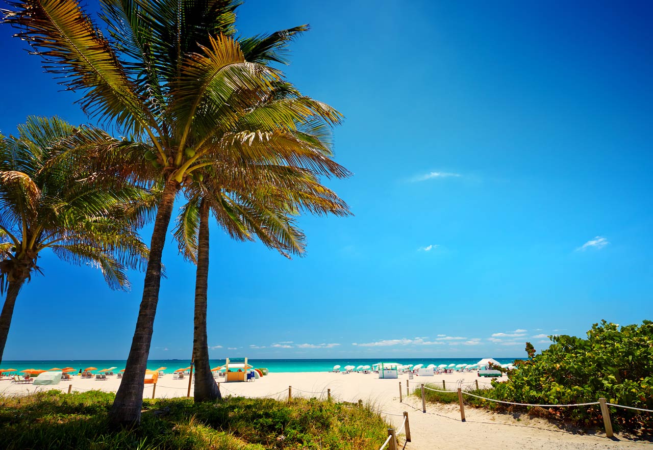 How Does Miami Weather in November Affect Your Plans?