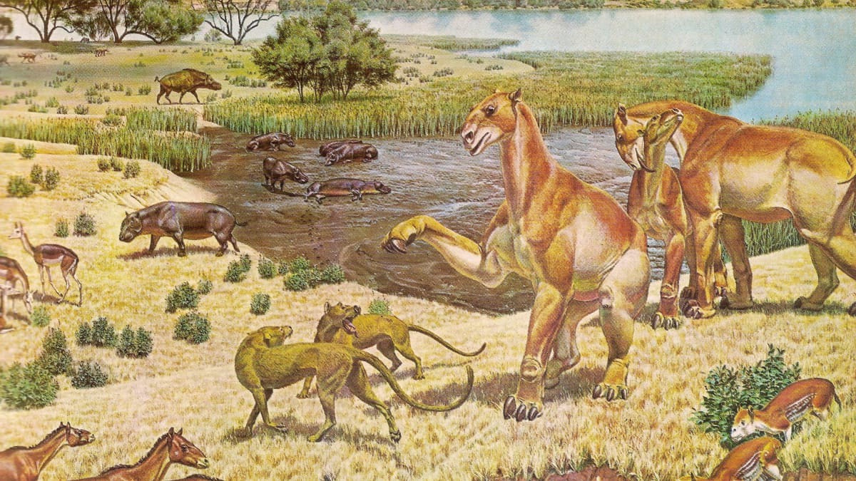 How Miocene Temperatures Fluctuated and Dropped Over Time