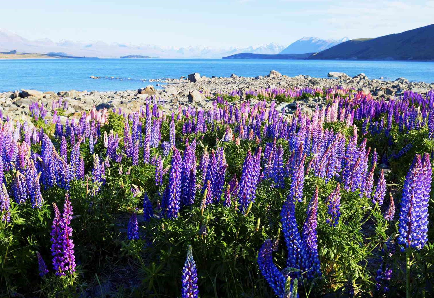 How is the Weather in New Zealand in November?