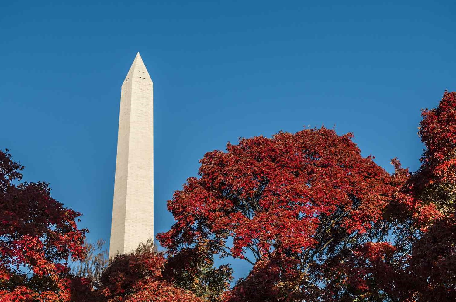 How Does Washington DC Weather Change in October?