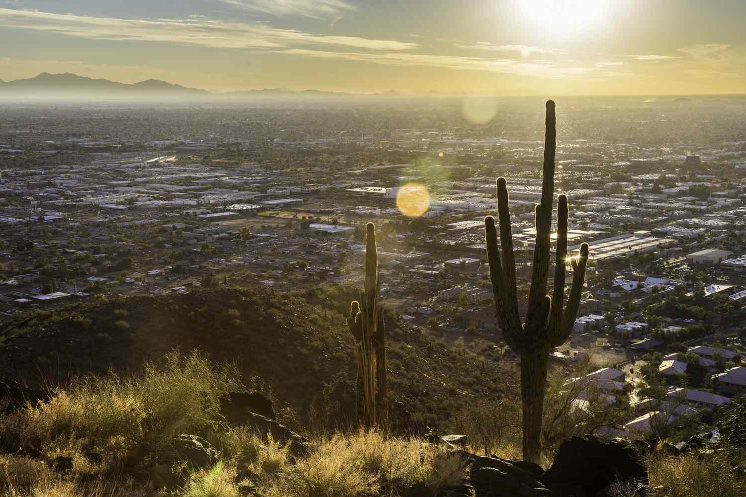 How Cold Does Phoenix Get in February?