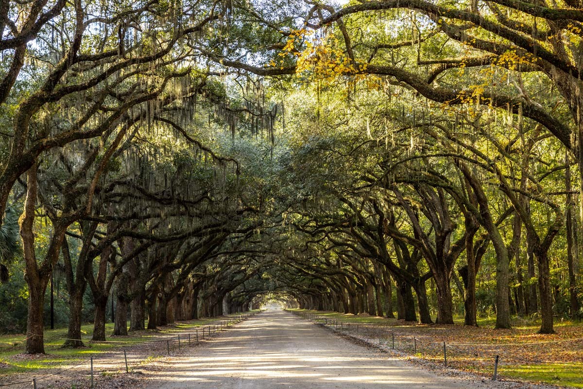 Best Time to Visit Savannah, GA: Weather Guide