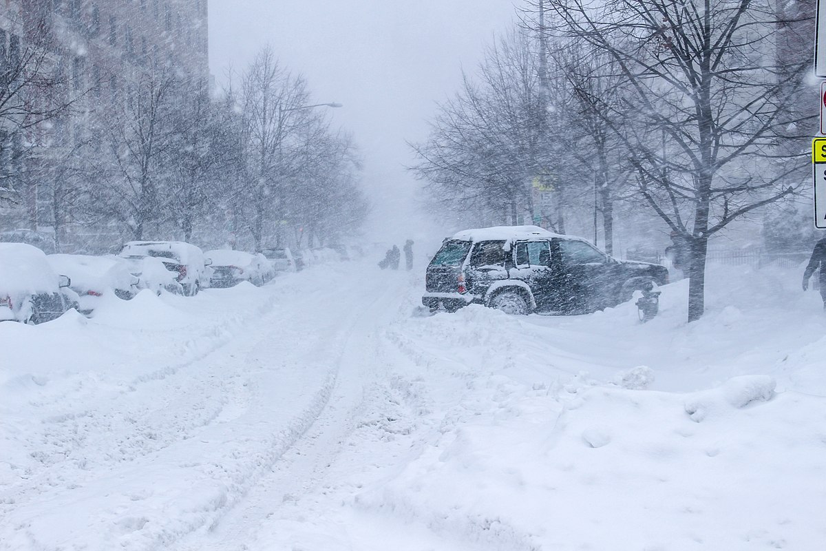 Does It Snow in Louisiana? Weather Patterns Explained