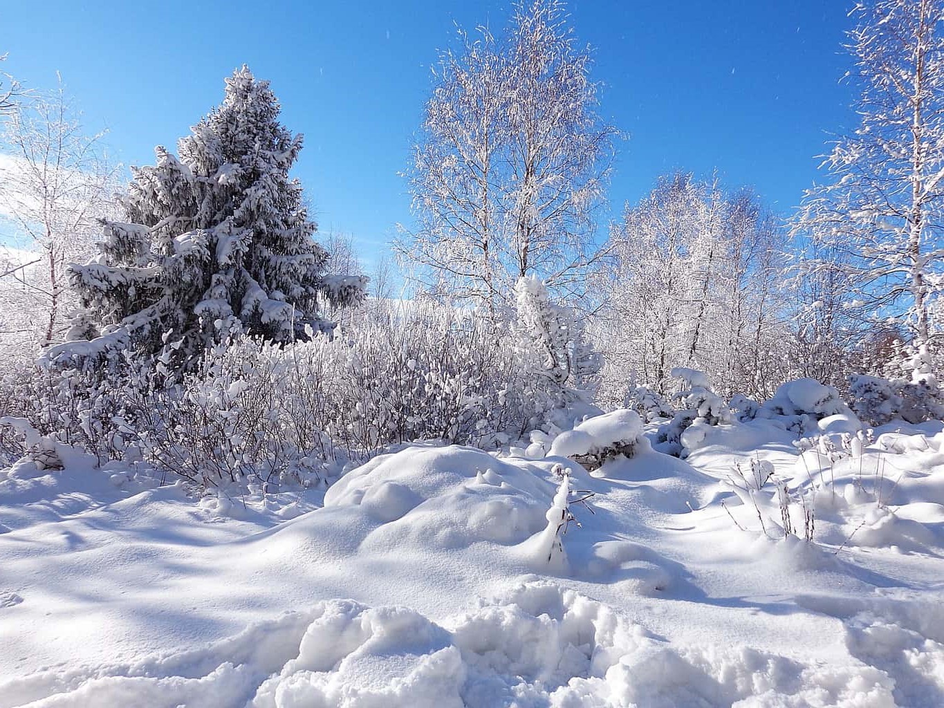 How Poland's Climate Changes Through the Seasons