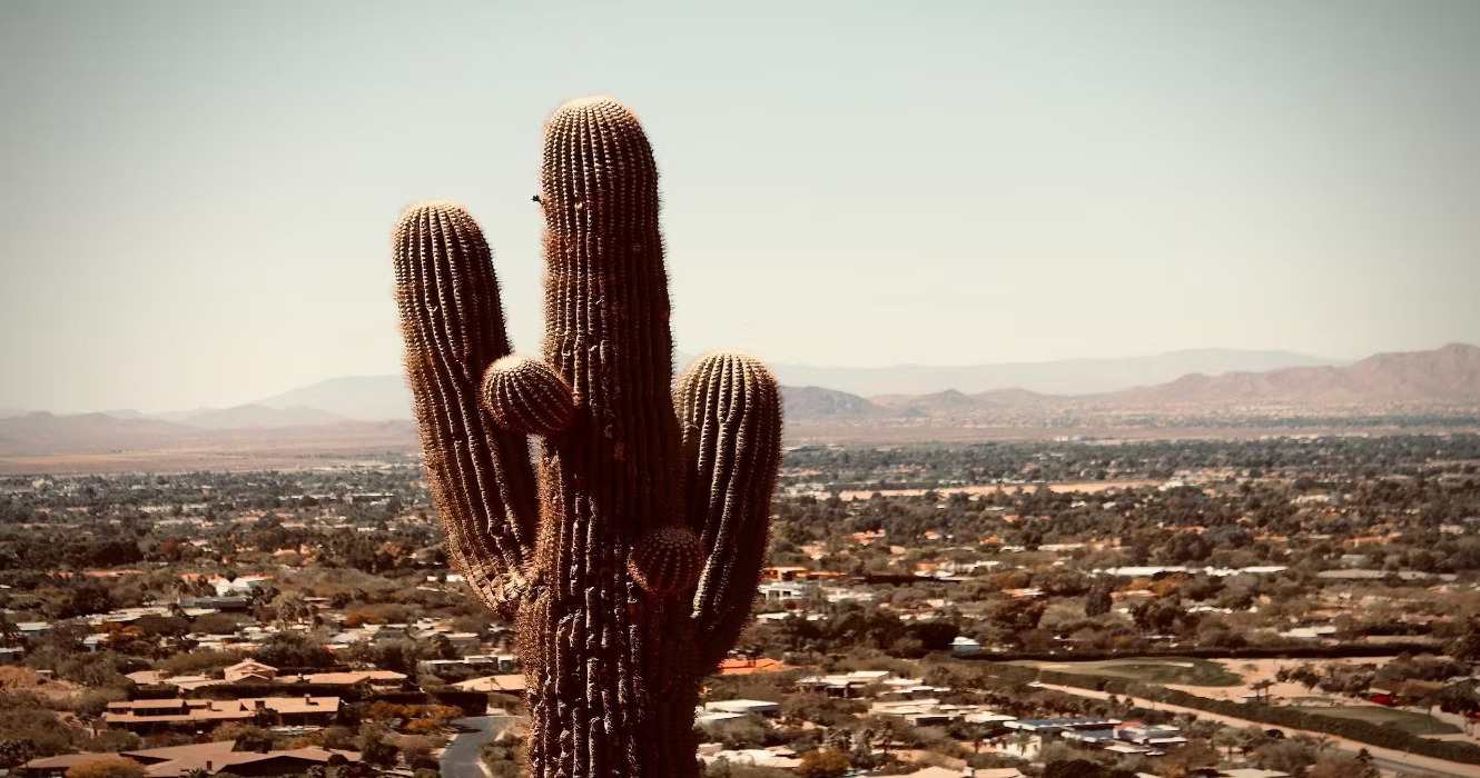 How Does Phoenix Weather in March Affect Travel Plans?