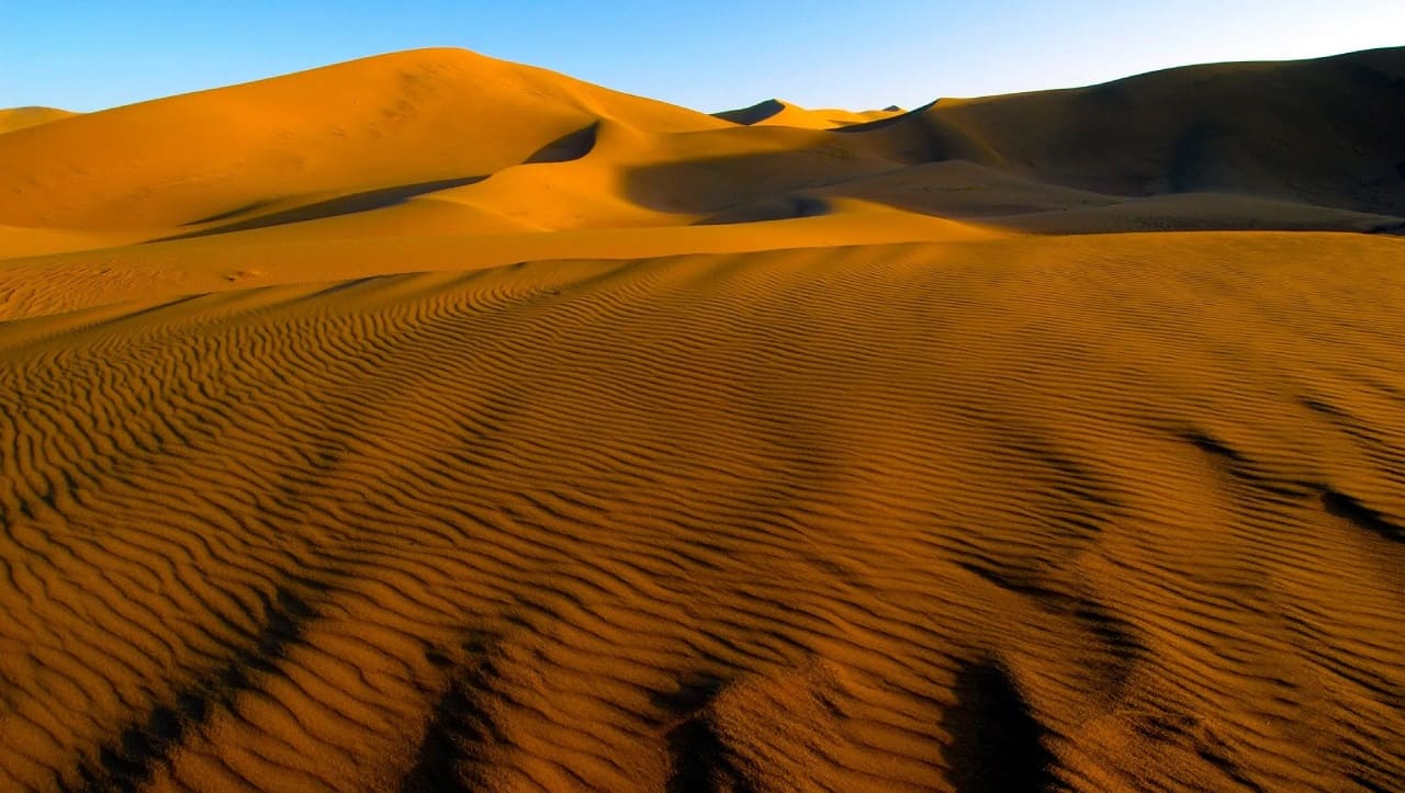 How Hot Does the Gobi Desert Get?