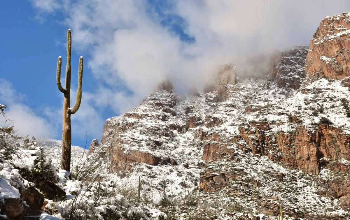 Tucson Winter Climate: A Guide to Weather Conditions and Temperatures ...