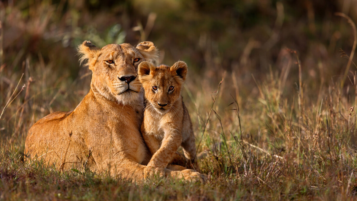 Monthly Weather Guide for Kruger National Park