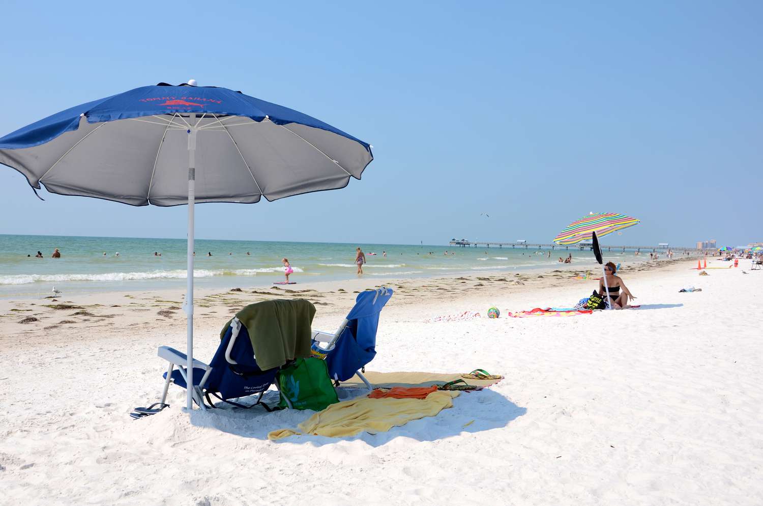 What's the Average Temperature in Clearwater, Florida?